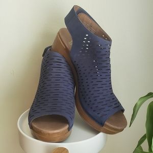 Dansko Suede Shoes